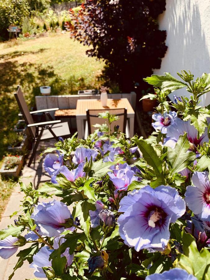 Ferienwohnung „Hygge“ In Liebenburg Luaran gambar